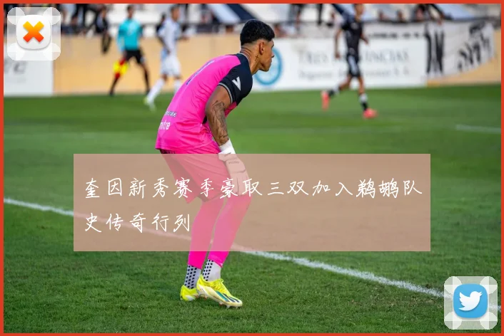 奎因新秀赛季豪取三双加入鹈鹕队史传奇行列