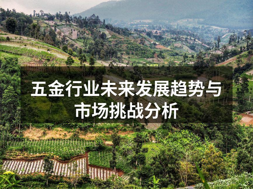 五金行业未来发展趋势与市场挑战分析
